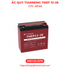 Ắc quy TianNeng TNEP 12-28 (12v-28Ah) - Ảnh 3