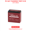 Ắc quy TianNeng TNEP 12-28 (12v-28Ah) - Ảnh 4
