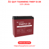 Ắc quy TianNeng TNEP 12-28 (12v-28Ah) - Ảnh 5